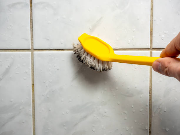Best Mold Testing  in Manchester, WA