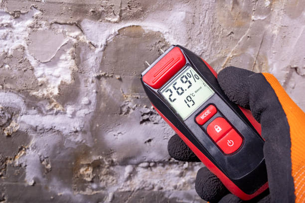 Best Office Mold Removal Services  in Manchester, WA