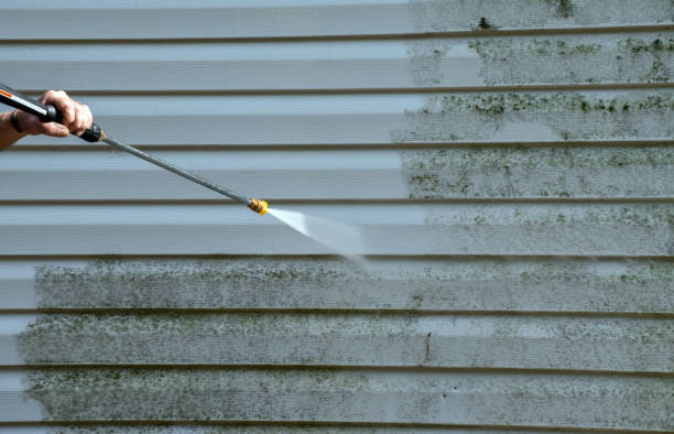 Best Toxic Mold Removal  in Manchester, WA
