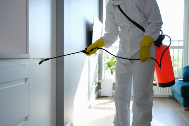 Best Crawl Space Mold Removal  in Manchester, WA