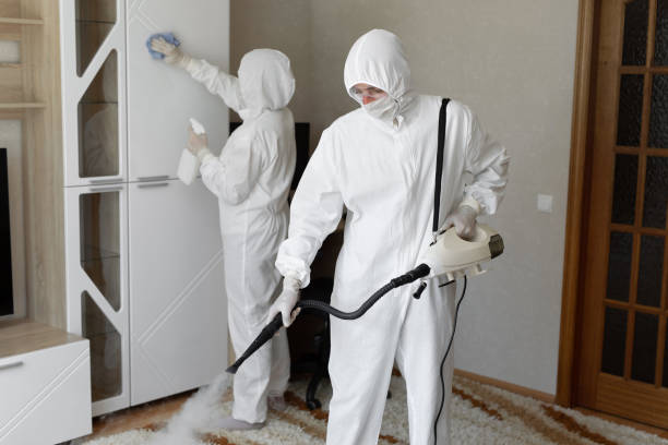 Home Mold Removal in Manchester, WA