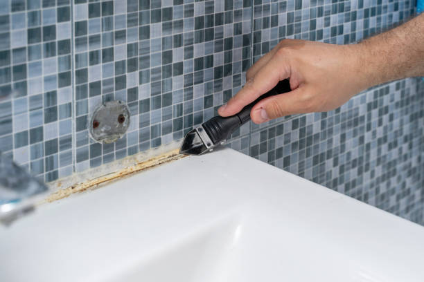 Best Fast Mold Removal  in Manchester, WA