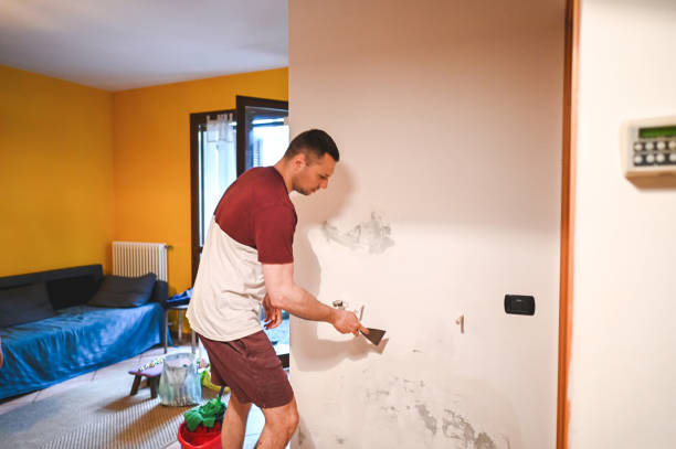 Best Certified Mold Removal  in Manchester, WA