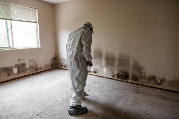 Best Mold Cleaning Services  in Manchester, WA